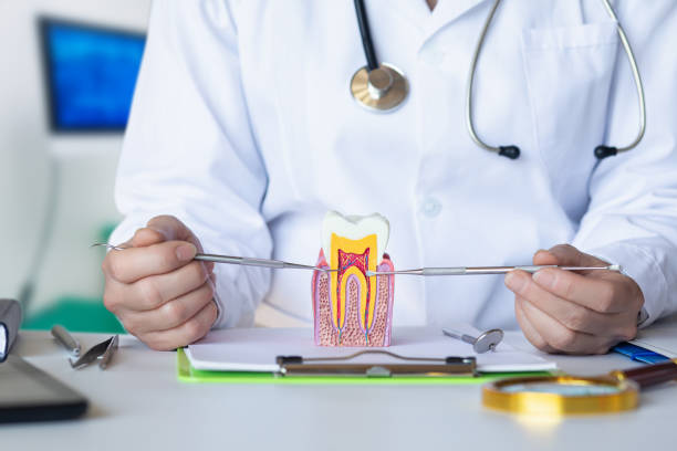 Best 24-Hour Emergency Dentist in Goose Creek Village, VA